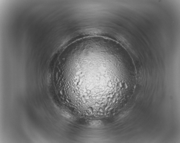 X0000067330355200604071331