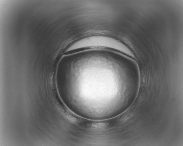 X0000067330357200604071331