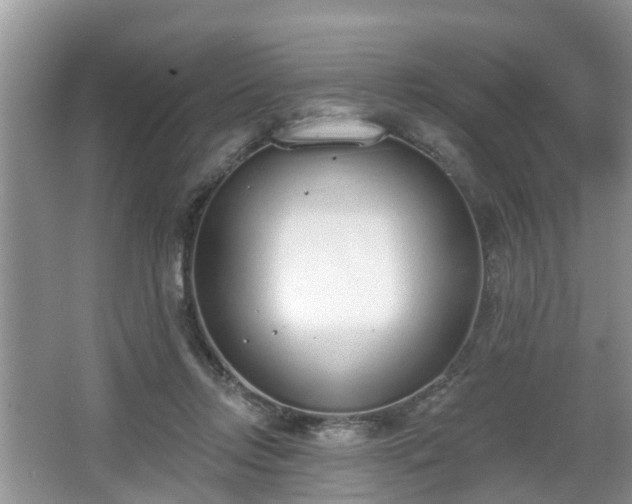 X0000067330358200604071331