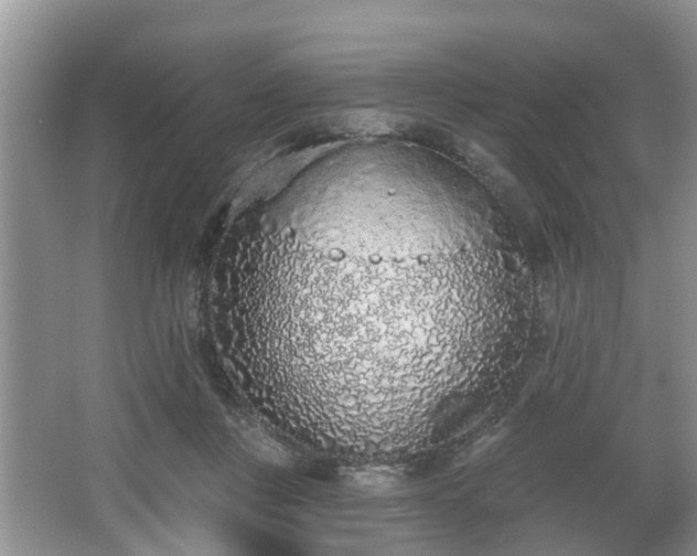 X0000067330359200604071331