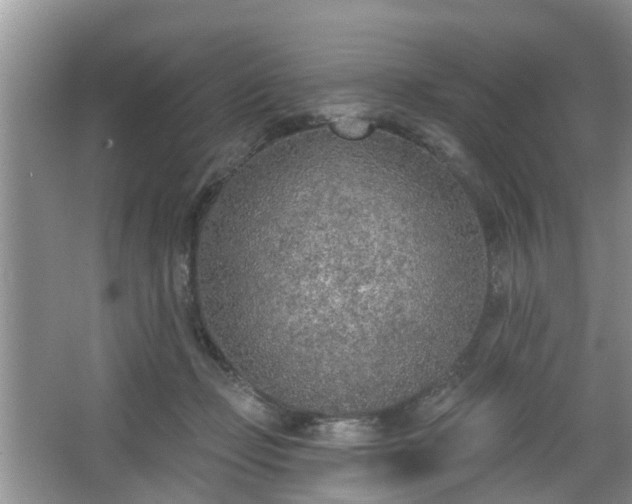 X0000067330365200604071331