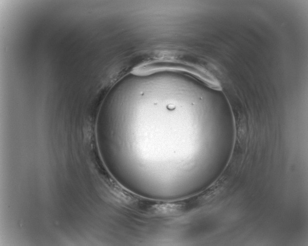 X0000067330367200604071331