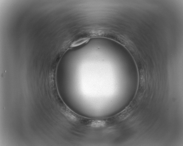 X0000067330369200604071331