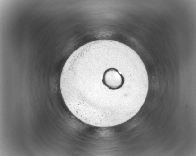 X0000067330370200604071331