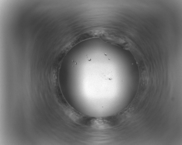 X0000067330372200604071331