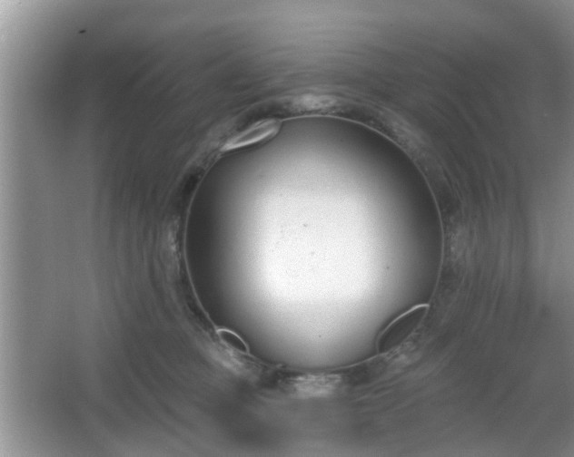 X0000067330373200604071331