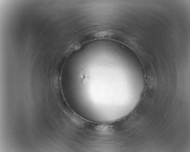 X0000067330375200604071331