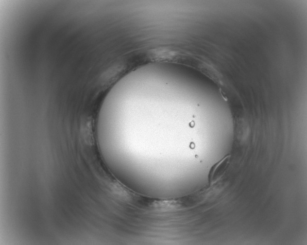 X0000067330378200604071331