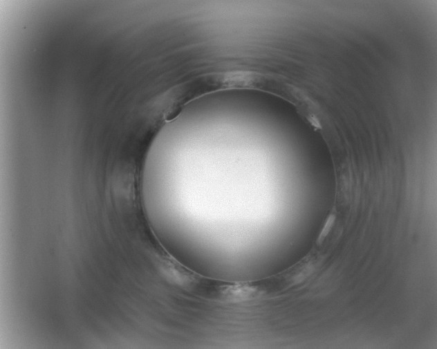 X0000067330379200604071331