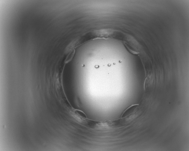 X0000067330381200604071332