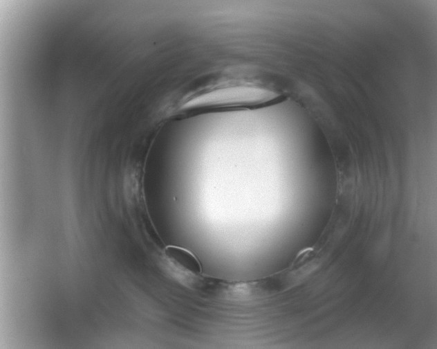 X0000067330382200604071332