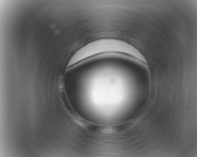 X0000067330383200604071332