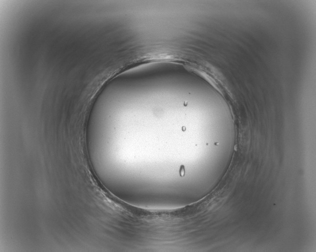 X0000067330385200604071331