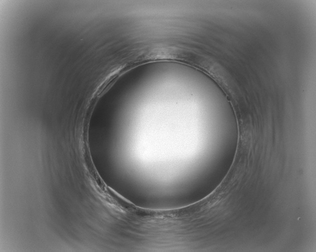 X0000067330386200604071331