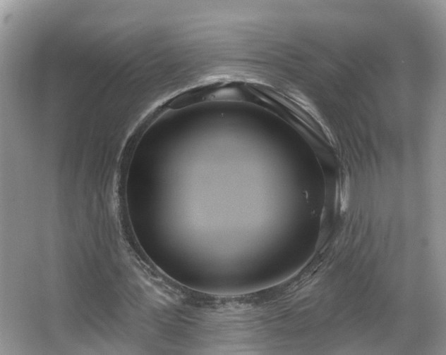 X0000067330387200604071331