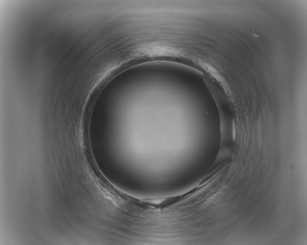 X0000067330391200604071331