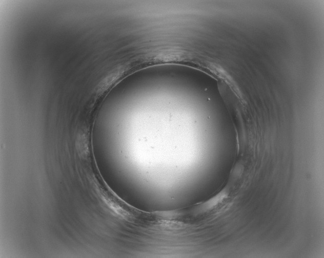 X0000067330393200604071331