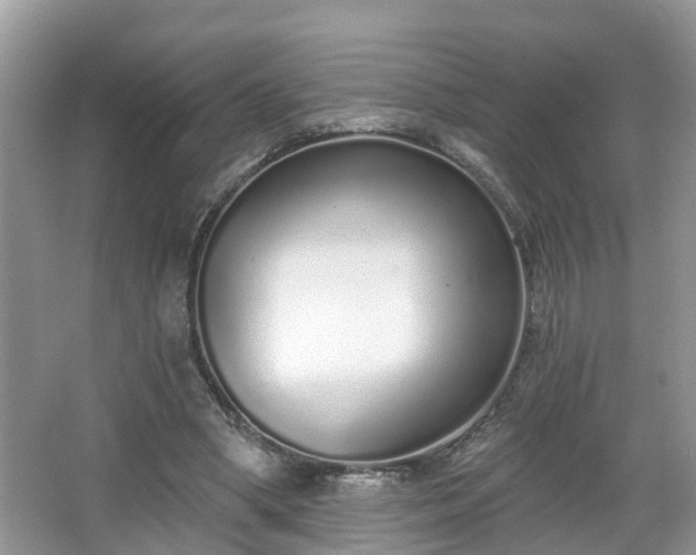 X0000067330394200604071331