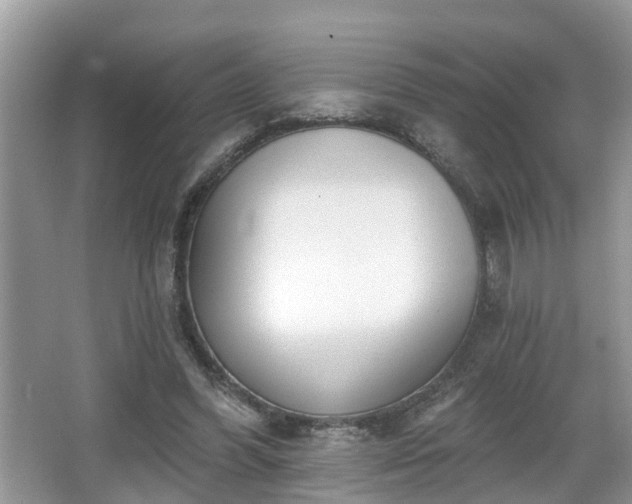 X0000067330396200604071331