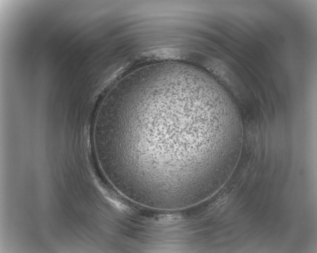 X0000067330398200604071331