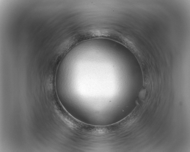 X0000067330402200604071330