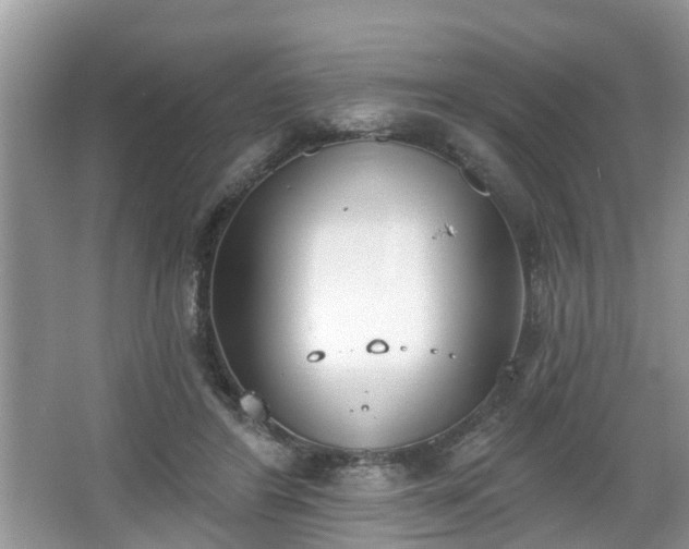 X0000067330404200604071330