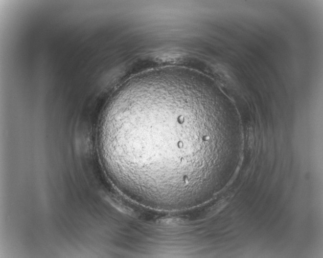 X0000067330408200604071330