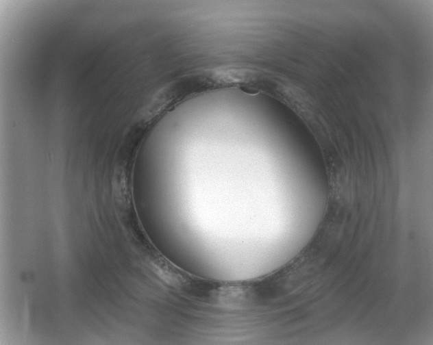 X0000067330418200604071330