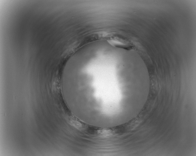 X0000067330419200604071330