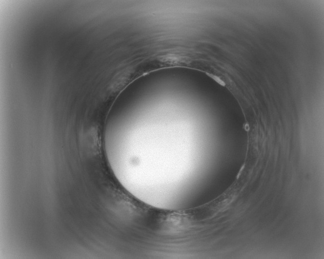 X0000067330420200604071330