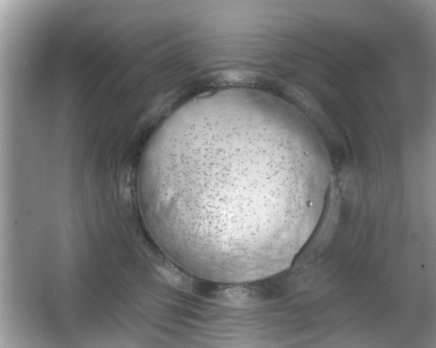 X0000067330423200604071330