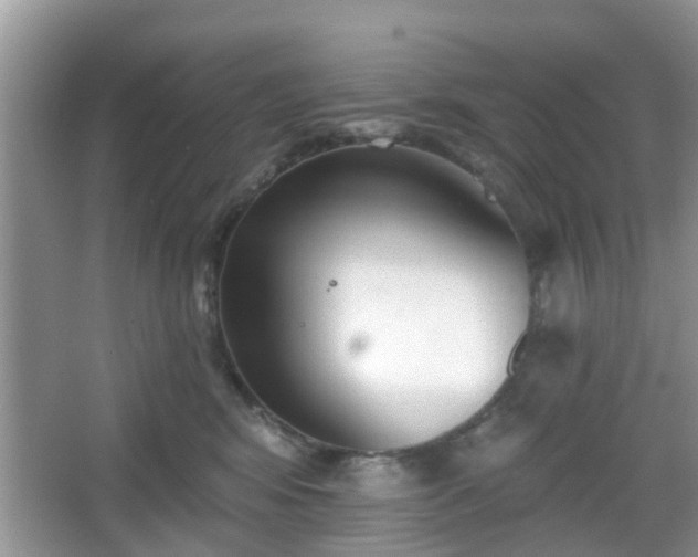 X0000067330424200604071330