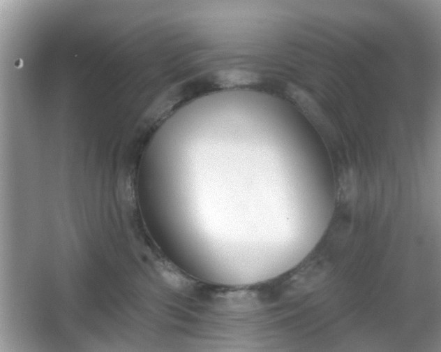 X0000067330426200604071330