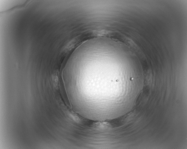 X0000067330427200604071330