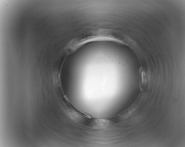 X0000067330429200604071330