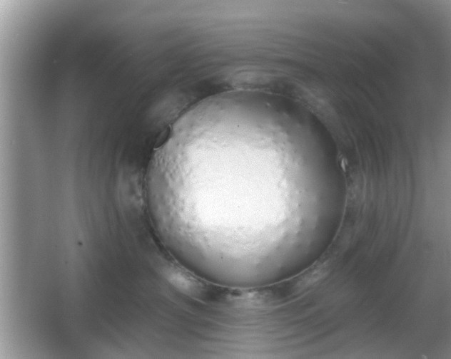 X0000067330430200604071330