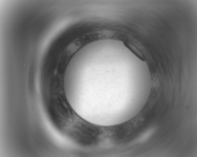 X0000067330431200604071330