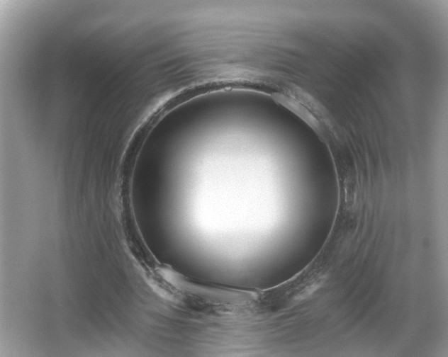 X0000067330436200604071329