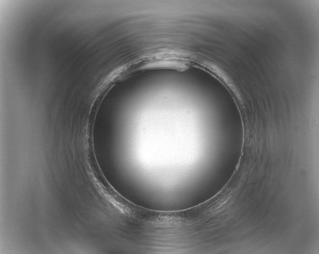 X0000067330437200604071329