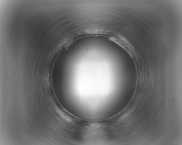 X0000067330441200604071329