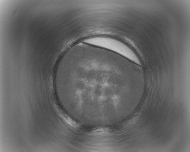 X0000067330447200604071329