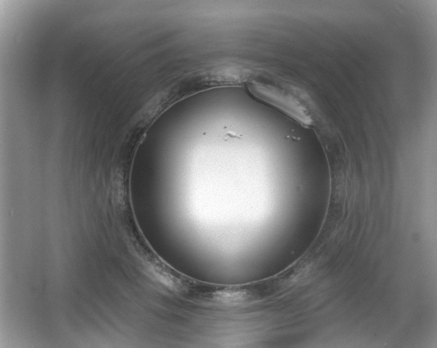 X0000067330457200604071330