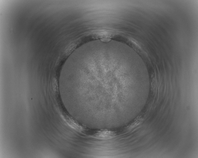 X0000067330459200604071330