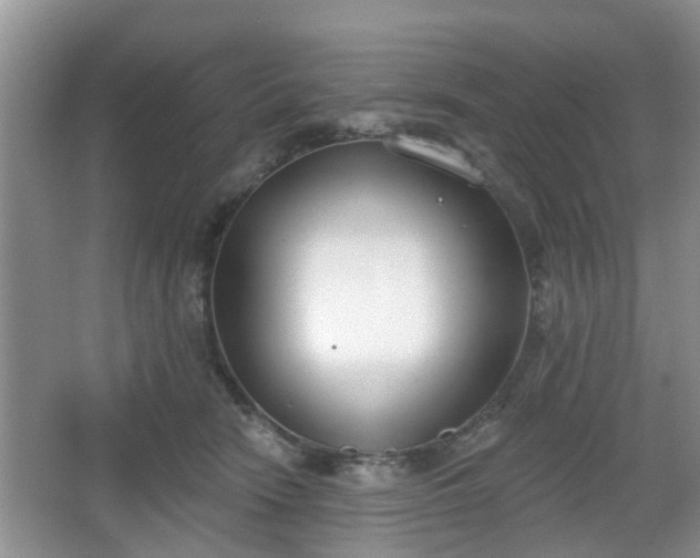 X0000067330466200604071330