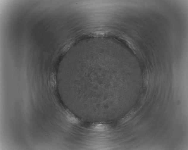 X0000067330467200604071330