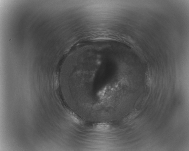 X0000067330471200604071330