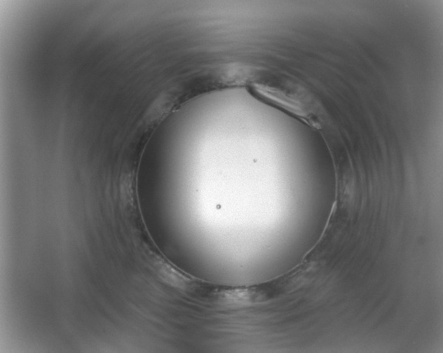 X0000067330473200604071330