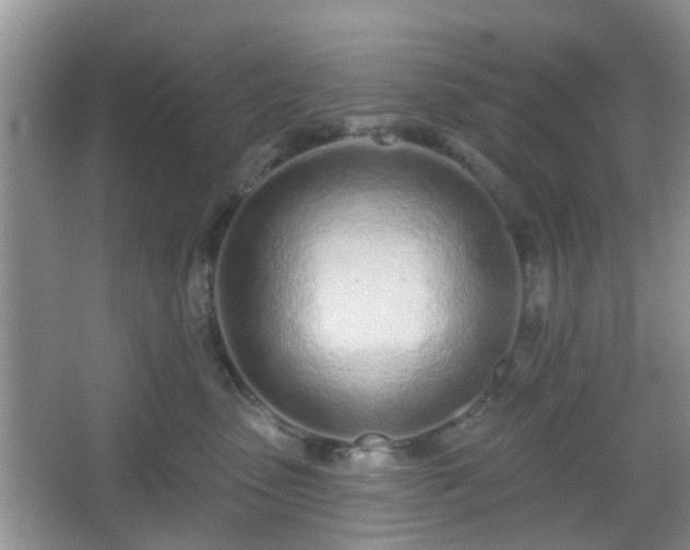 X0000067330475200604071330