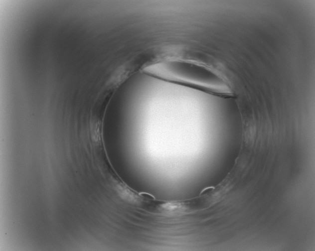 X0000067330477200604071330