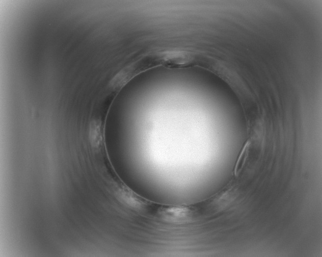 X0000067330478200604071330